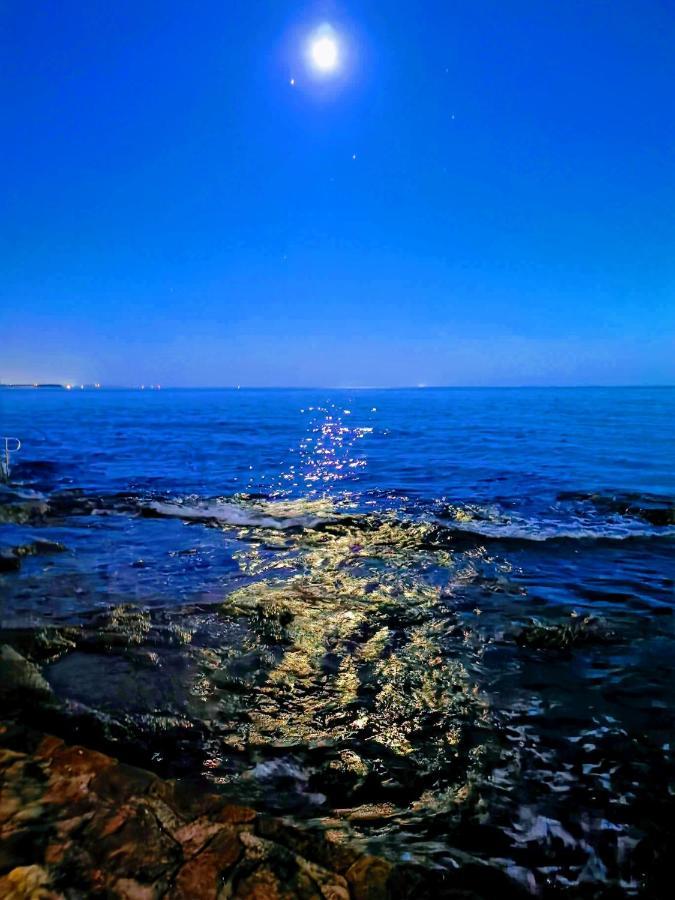 Aria Deluxe Superior 5 Star Apartment, Your Piece Of Heaven By The Sea & Park, With Sea & Park View Novigrad  ภายนอก รูปภาพ